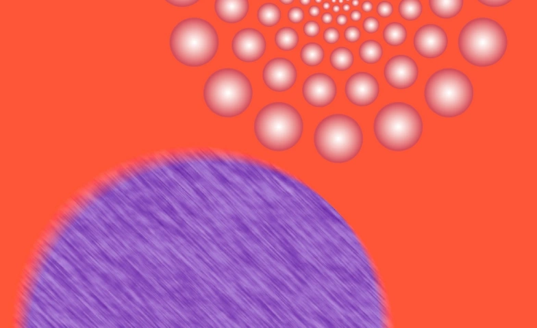 7470795651531459592.webp