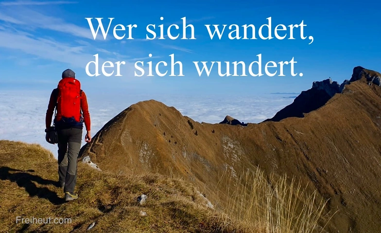 7391532972657102273.webp