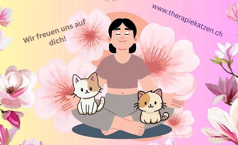 7487604095395583705.webp