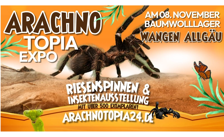 7480586576629616536.webp