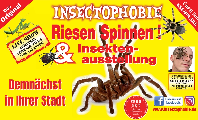 7493267536416384295.webp