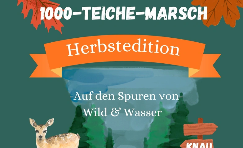 7448097176926847051.webp