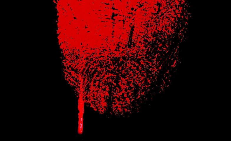 7484958184307751259.webp