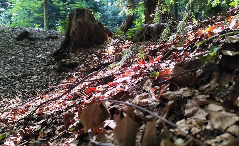 7487817695783579082.webp