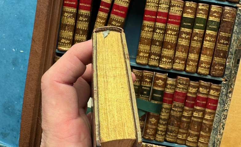 7459591132810313785.webp
