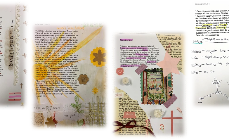 7470006930540353054.webp